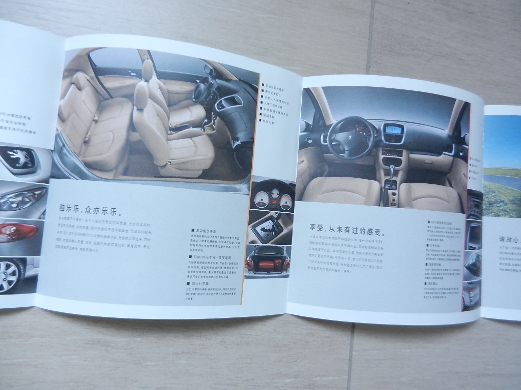 Catalogue Peugeot 207 2010 Chinois – Image 2